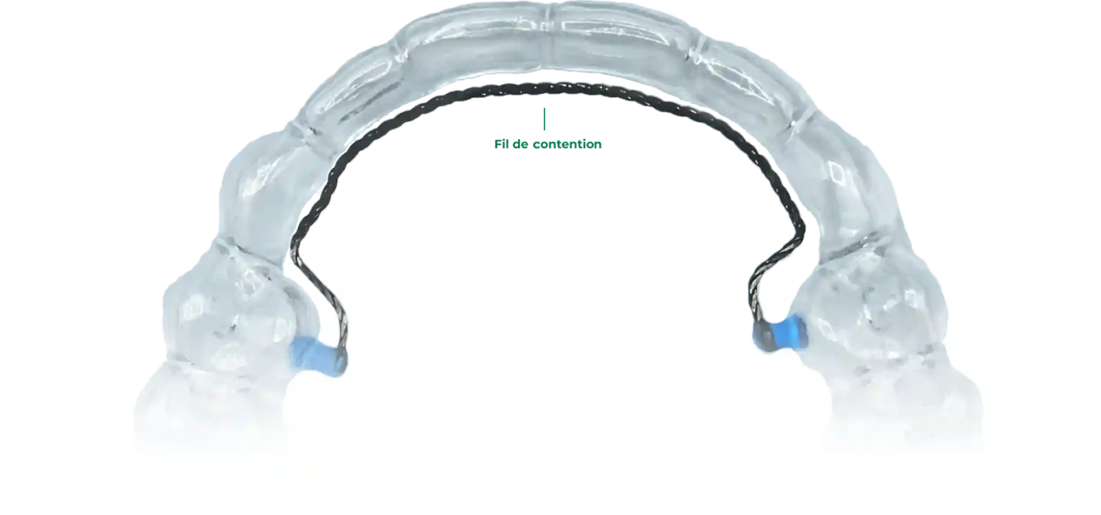 Ecodont™ Combi Retainer : fil de contention